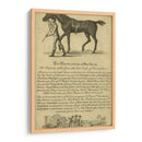 Retrato De Caballo Viii | Cuadro decorativo de Canvas Lab