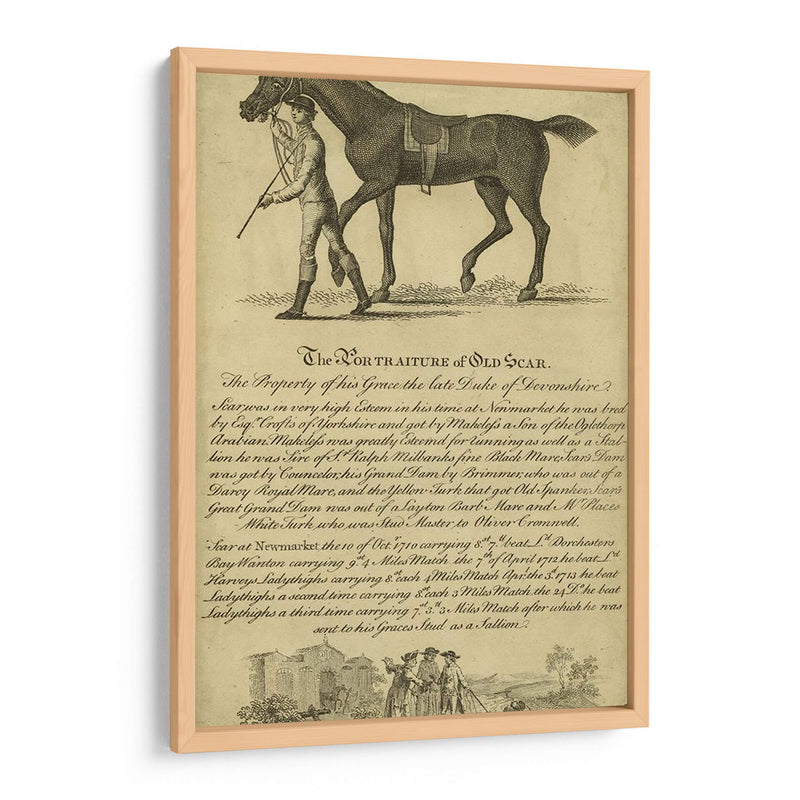 Retrato De Caballo Viii | Cuadro decorativo de Canvas Lab