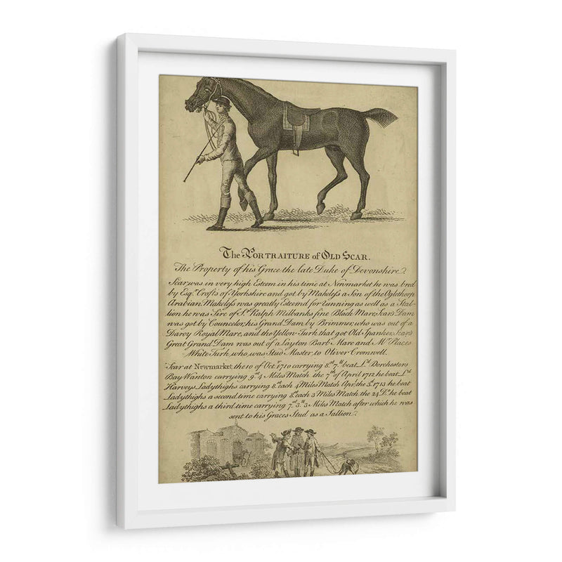 Retrato De Caballo Viii | Cuadro decorativo de Canvas Lab