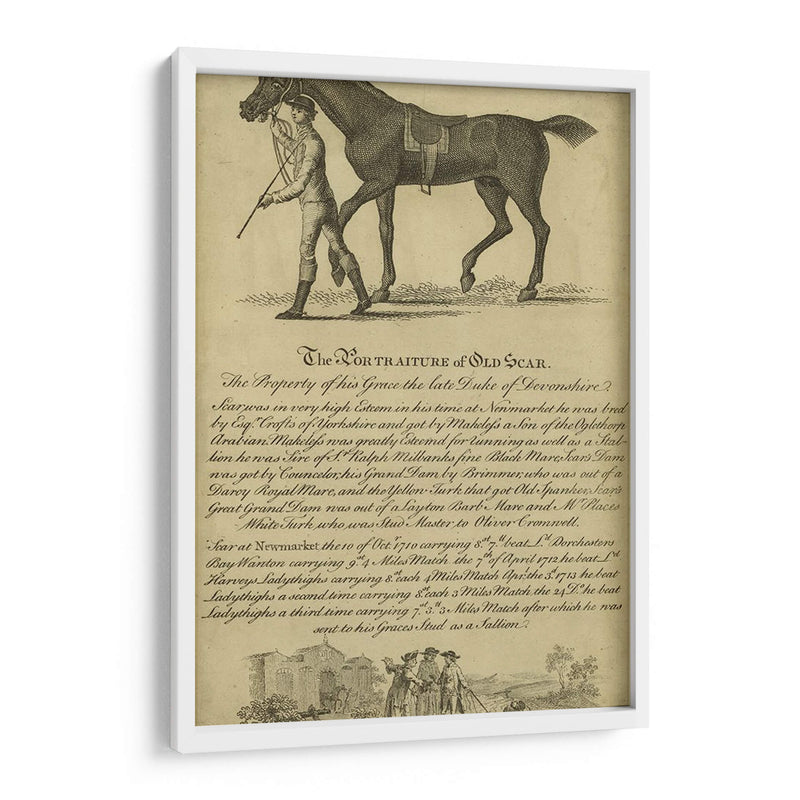 Retrato De Caballo Viii | Cuadro decorativo de Canvas Lab