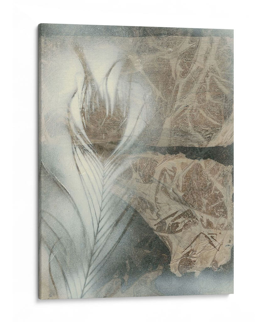 Pluma Y Piedra Ii - Renee W. Stramel | Cuadro decorativo de Canvas Lab
