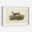 Ciervos De Cola Larga - John James Audubon | Cuadro decorativo de Canvas Lab