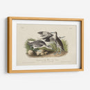 Curlew De Piedra (Ceniza) - John James Audubon | Cuadro decorativo de Canvas Lab