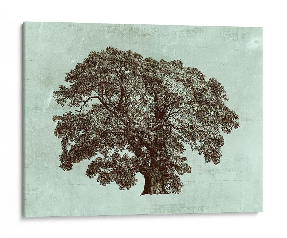Tree Spa Ii Personalizado (Ceniza) - Vision Studio | Cuadro decorativo de Canvas Lab