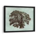 Tree Spa Ii Personalizado (Ceniza) - Vision Studio | Cuadro decorativo de Canvas Lab