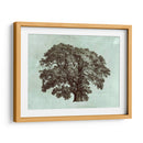 Tree Spa Ii Personalizado (Ceniza) - Vision Studio | Cuadro decorativo de Canvas Lab