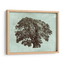 Tree Spa Ii Personalizado (Ceniza) - Vision Studio | Cuadro decorativo de Canvas Lab