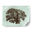 Tree Spa Ii Personalizado (Ceniza) - Vision Studio | Cuadro decorativo de Canvas Lab