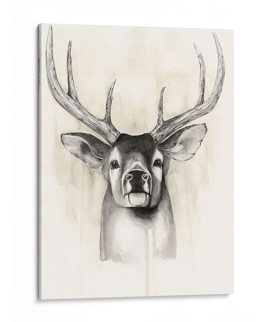 Timberland Animals Ii - Grace Popp | Cuadro decorativo de Canvas Lab
