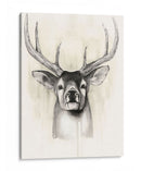 Timberland Animals Ii - Grace Popp | Cuadro decorativo de Canvas Lab