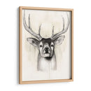 Timberland Animals Ii - Grace Popp | Cuadro decorativo de Canvas Lab
