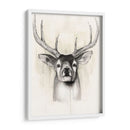Timberland Animals Ii - Grace Popp | Cuadro decorativo de Canvas Lab
