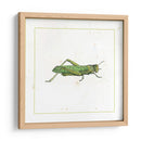 Tolva Verde - Vision Studio | Cuadro decorativo de Canvas Lab