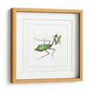 Mantis Verde - Vision Studio | Cuadro decorativo de Canvas Lab