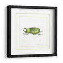 Escarabajo Verde - Vision Studio | Cuadro decorativo de Canvas Lab