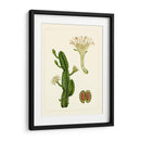 Flora Exótica V - Vision Studio | Cuadro decorativo de Canvas Lab