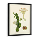 Flora Exótica V - Vision Studio | Cuadro decorativo de Canvas Lab
