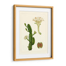 Flora Exótica V - Vision Studio | Cuadro decorativo de Canvas Lab