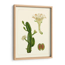 Flora Exótica V - Vision Studio | Cuadro decorativo de Canvas Lab