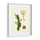 Flora Exótica V - Vision Studio | Cuadro decorativo de Canvas Lab