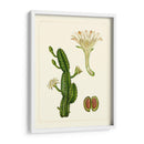 Flora Exótica V - Vision Studio | Cuadro decorativo de Canvas Lab