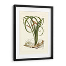 Flora Exótica Vi - Vision Studio | Cuadro decorativo de Canvas Lab