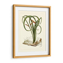 Flora Exótica Vi - Vision Studio | Cuadro decorativo de Canvas Lab