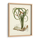 Flora Exótica Vi - Vision Studio | Cuadro decorativo de Canvas Lab