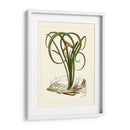 Flora Exótica Vi - Vision Studio | Cuadro decorativo de Canvas Lab