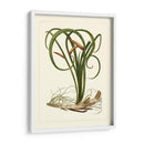 Flora Exótica Vi - Vision Studio | Cuadro decorativo de Canvas Lab