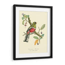 Naturaleza Jardin I - L. Curmer | Cuadro decorativo de Canvas Lab