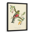 Naturaleza Jardin I - L. Curmer | Cuadro decorativo de Canvas Lab