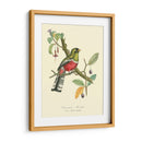 Naturaleza Jardin I - L. Curmer | Cuadro decorativo de Canvas Lab