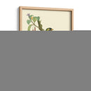 Naturaleza Jardin I - L. Curmer | Cuadro decorativo de Canvas Lab