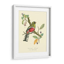 Naturaleza Jardin I - L. Curmer | Cuadro decorativo de Canvas Lab