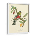Naturaleza Jardin I - L. Curmer | Cuadro decorativo de Canvas Lab