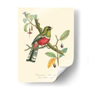 Naturaleza Jardin I - L. Curmer | Cuadro decorativo de Canvas Lab