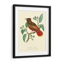 Naturaleza Jardin Ii - L. Curmer | Cuadro decorativo de Canvas Lab