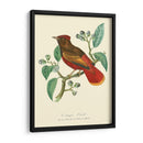 Naturaleza Jardin Ii - L. Curmer | Cuadro decorativo de Canvas Lab