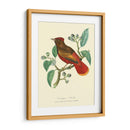 Naturaleza Jardin Ii - L. Curmer | Cuadro decorativo de Canvas Lab