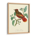 Naturaleza Jardin Ii - L. Curmer | Cuadro decorativo de Canvas Lab