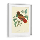Naturaleza Jardin Ii - L. Curmer | Cuadro decorativo de Canvas Lab