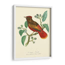 Naturaleza Jardin Ii - L. Curmer | Cuadro decorativo de Canvas Lab