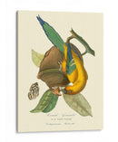 Naturaleza Jardin Iv - L. Curmer | Cuadro decorativo de Canvas Lab
