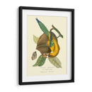 Naturaleza Jardin Iv - L. Curmer | Cuadro decorativo de Canvas Lab