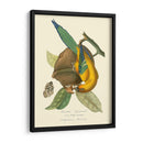 Naturaleza Jardin Iv - L. Curmer | Cuadro decorativo de Canvas Lab