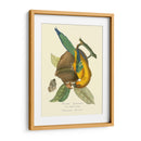 Naturaleza Jardin Iv - L. Curmer | Cuadro decorativo de Canvas Lab
