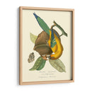 Naturaleza Jardin Iv - L. Curmer | Cuadro decorativo de Canvas Lab