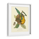 Naturaleza Jardin Iv - L. Curmer | Cuadro decorativo de Canvas Lab