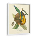 Naturaleza Jardin Iv - L. Curmer | Cuadro decorativo de Canvas Lab